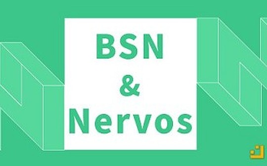 Nervos 成为区块链服务网络（BSN）首批合作伙伴