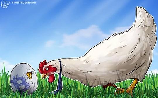 机构对加密货币兴趣高涨 哪些指标可信度更高？