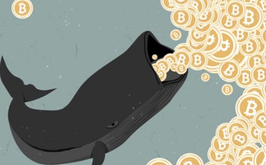 金色观察 | 鲸鱼小散创新高 BTC减半行情终于来了？