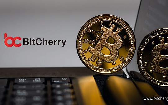 BitCherry深度布局中东 携手UPEX助力石油经济转型