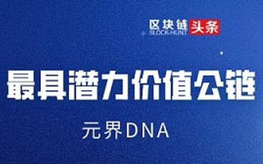 探索最具潜力的价值公链——元界DNA