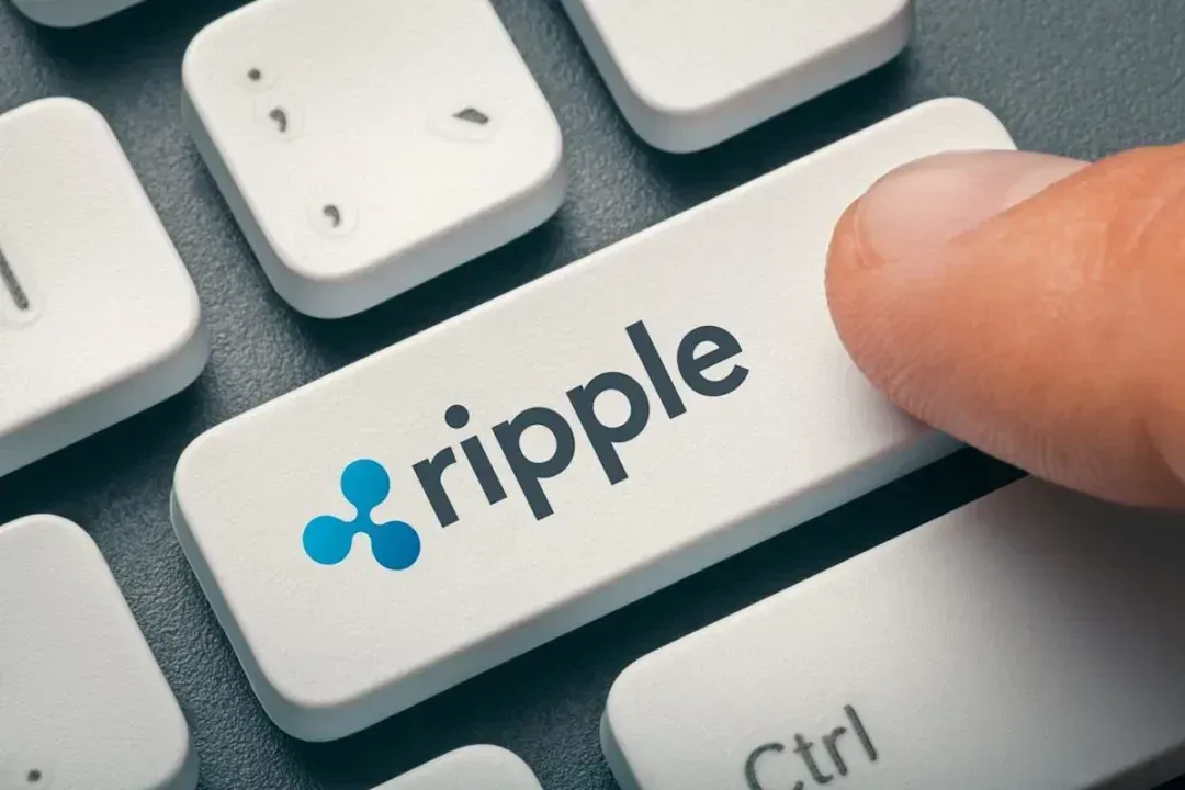 美国议员敦促美联储提供更快、更便宜的支付方式，Ripple公司因此受到关注