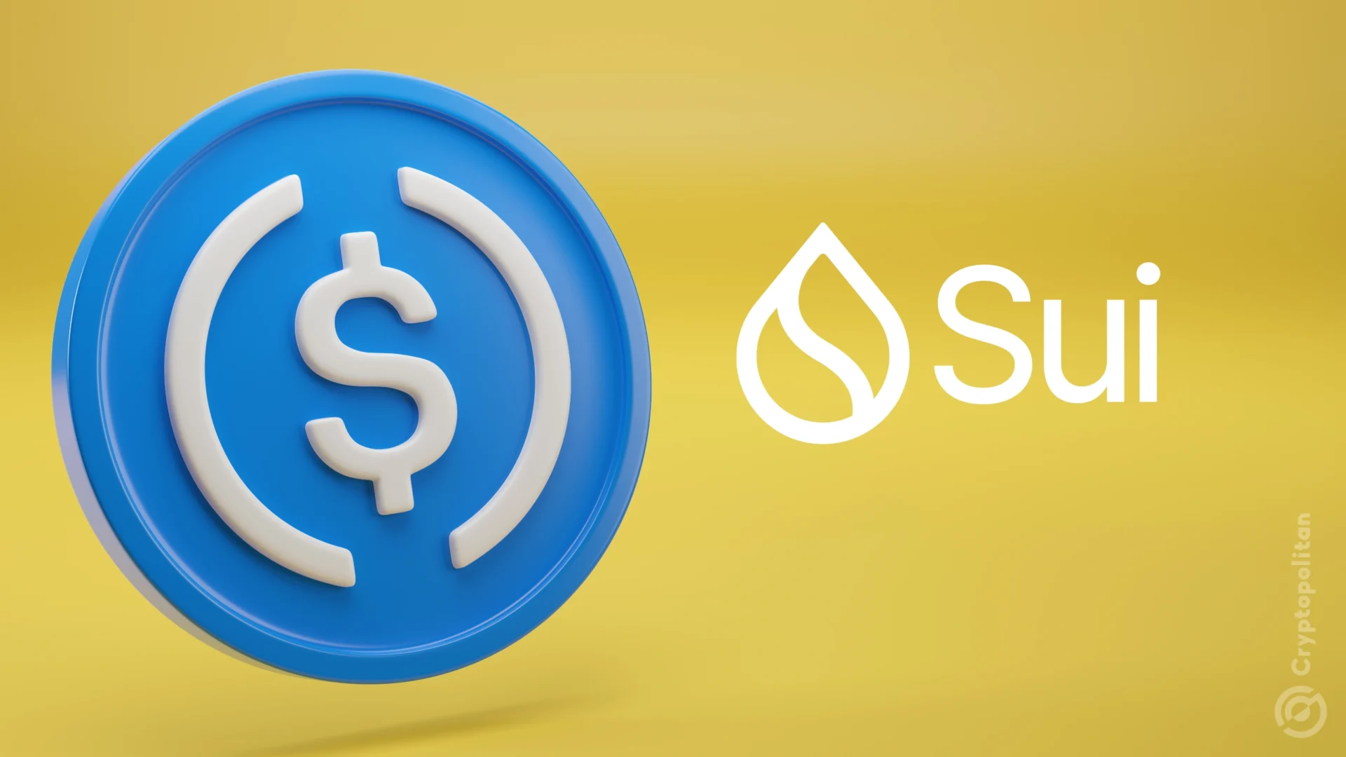 SUI Network日净流入量最高