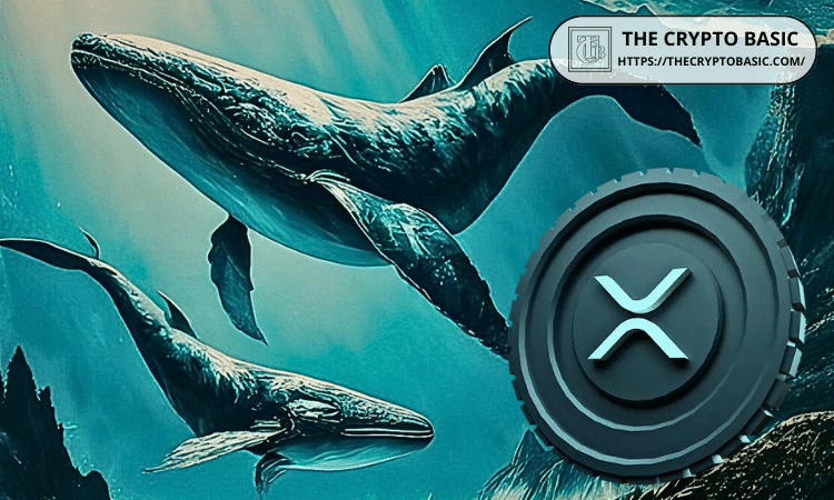 大型 XRP 持有者将持有量推高至历史新高 113.3 亿枚代币