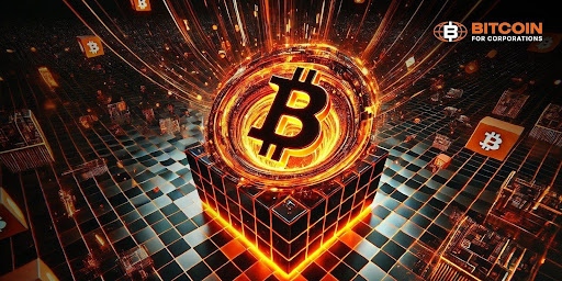 Lightning Labs首席技术官发布zk-STARK原型；量子救援工具
