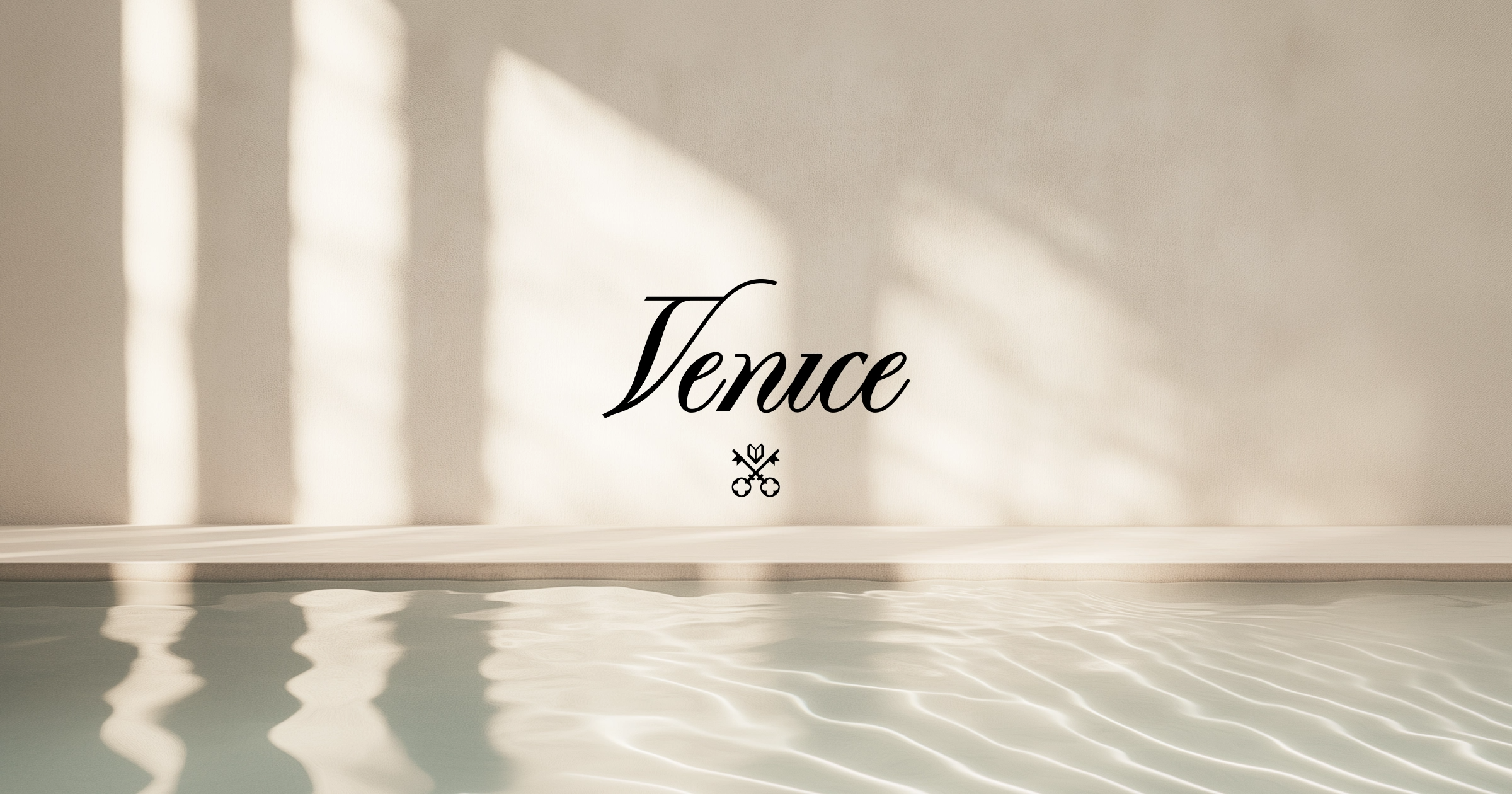 Venice AI融资6500万美元，股权+代币结构引社区争议