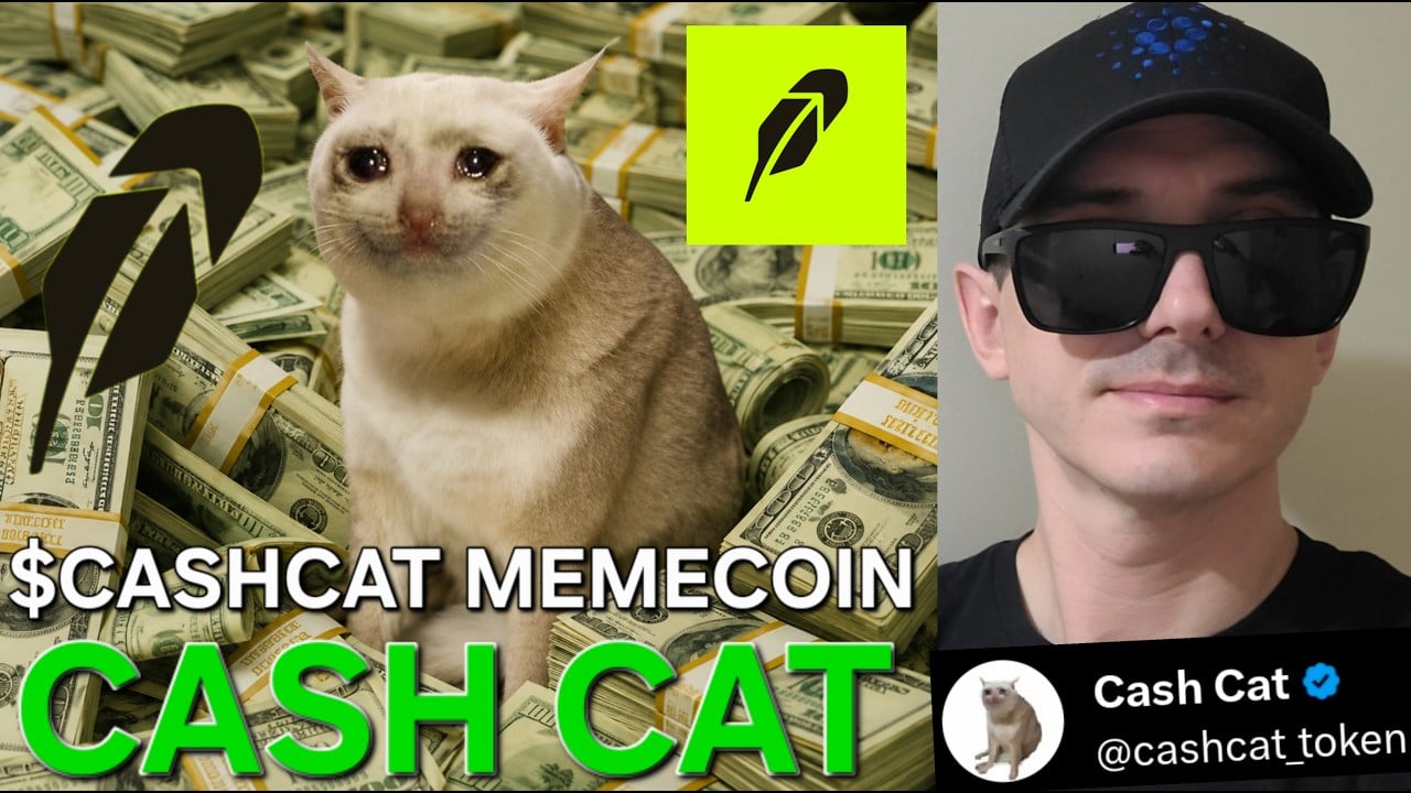 Robinhood链上美股还没出圈，一只“钞票猫”先火了