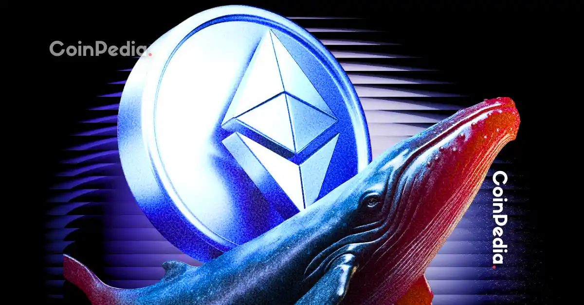 以太坊：BitMine披露资产达115亿美元