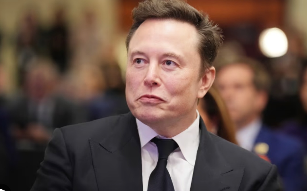 大摩：若SpaceX跌至100美元意味对其AI业务估值为零