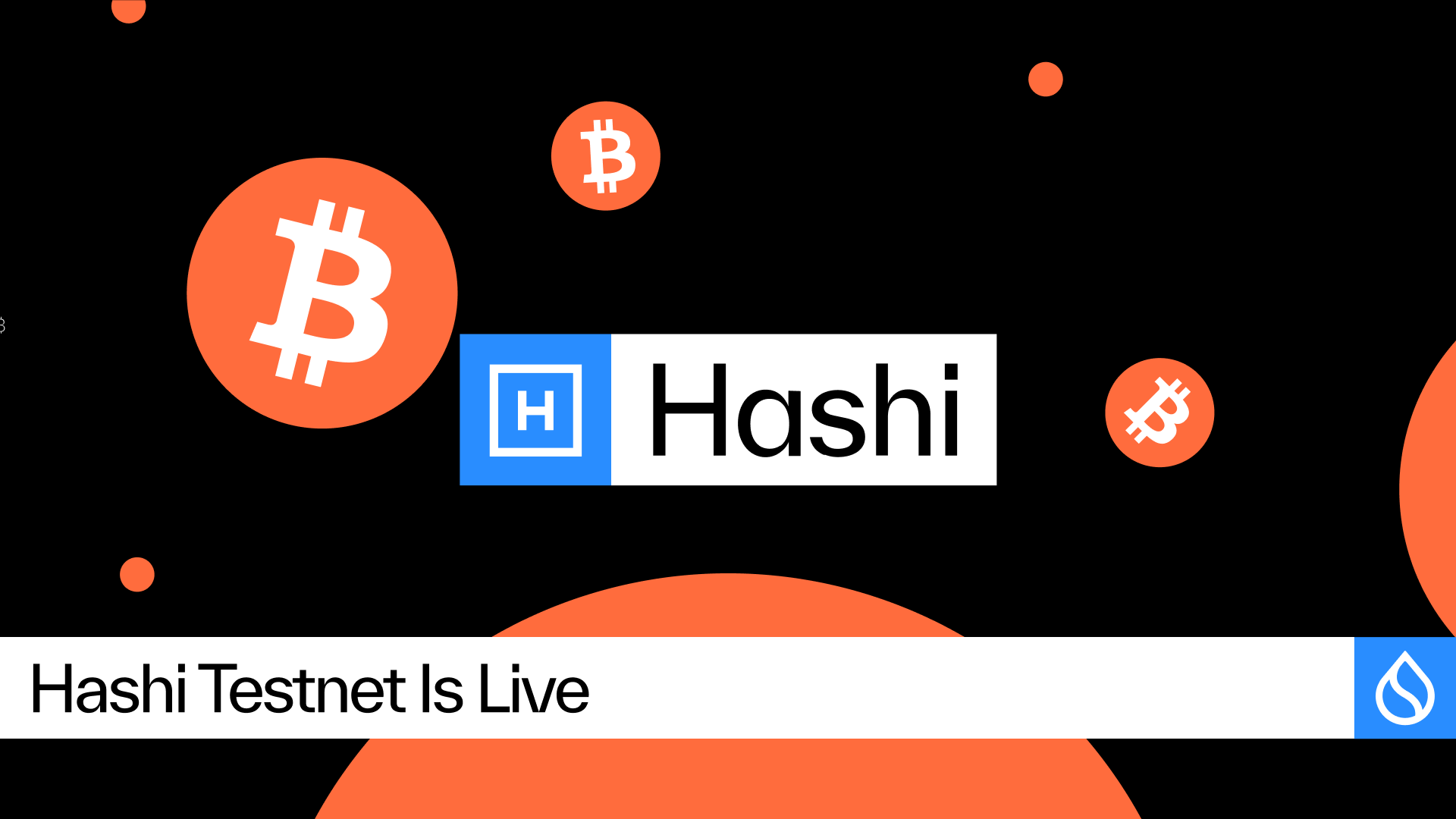 BTC 万亿市值沉睡，“唤醒者” Hashi 测试网上线 Sui