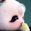 sno