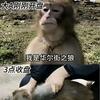 乘夏之暖