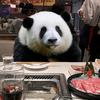 大A金疮药