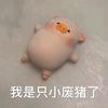 天天贴贴