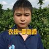 奥迪斯农资-罗老师