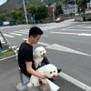 小吴椰