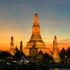 小羊白白