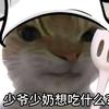 小胖龙