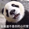 尽量少喝酒