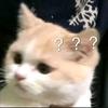 我不是裴钱货