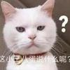我兔威武雄壮