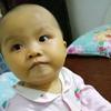 新手老潘