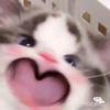 春夏
