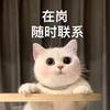 木由子