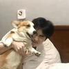 权二