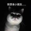 江南中人