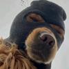砖家