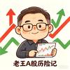 老王A股历险记