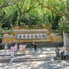 舍披着怀儿