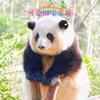 花无痕呀（三国杀OL大王）