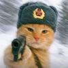 莽村大宏伟
