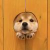 鸭嘴驴
